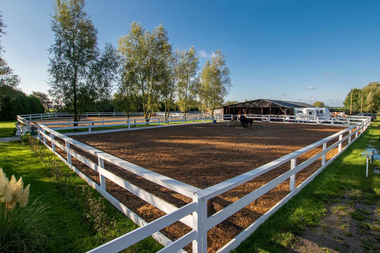 Luxus Resort Ruegen Residenz Kubitzer Bodden Rambin エクステリア 写真